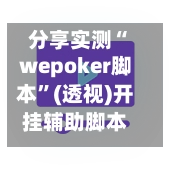 分享实测“wepoker脚本”(透视)开挂辅助脚本+详细开挂安装教程-第3张图片