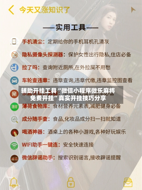 辅助开挂工具“微信小程序微乐麻将免费开挂	”真实开挂技巧分享-第2张图片