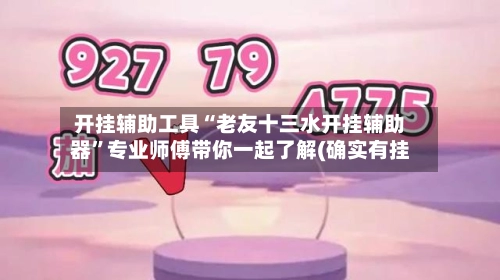 开挂辅助工具“老友十三水开挂辅助器	”专业师傅带你一起了解(确实有挂-第2张图片