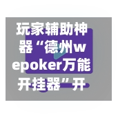 玩家辅助神器“德州wepoker万能开挂器”开挂神器{透视辅助}全揭秘-第3张图片