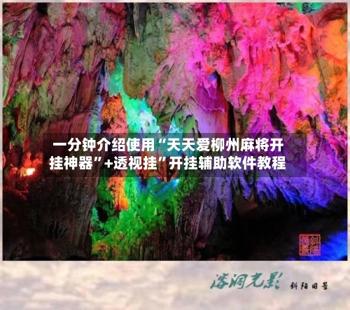 一分钟介绍使用“天天爱柳州麻将开挂神器”+透视挂”开挂辅助软件教程-第3张图片