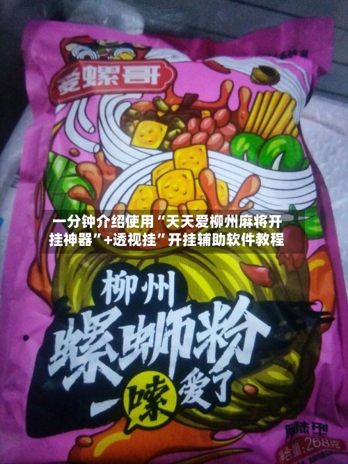 一分钟介绍使用“天天爱柳州麻将开挂神器	”+透视挂”开挂辅助软件教程-第2张图片