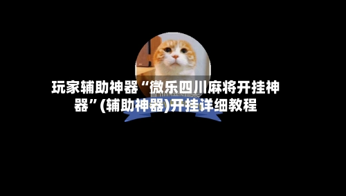 玩家辅助神器“微乐四川麻将开挂神器”(辅助神器)开挂详细教程-第2张图片