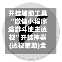 开挂辅助工具“微信小程序途游斗地主透视”开挂神器{透视辅助}全揭秘-第3张图片