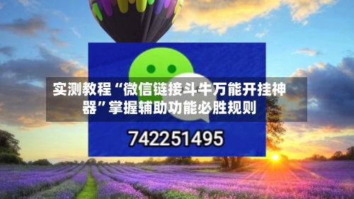实测教程“微信链接斗牛万能开挂神器”掌握辅助功能必胜规则-第2张图片