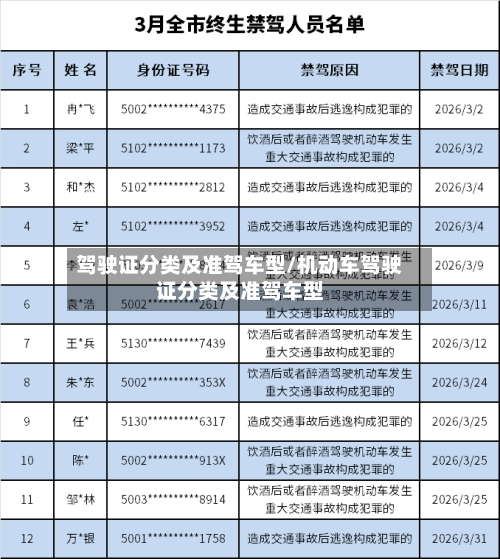 驾驶证分类及准驾车型/机动车驾驶证分类及准驾车型-第2张图片