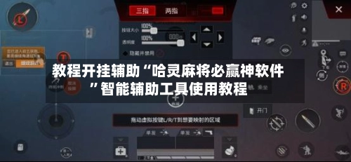 教程开挂辅助“哈灵麻将必赢神软件”智能辅助工具使用教程-第2张图片