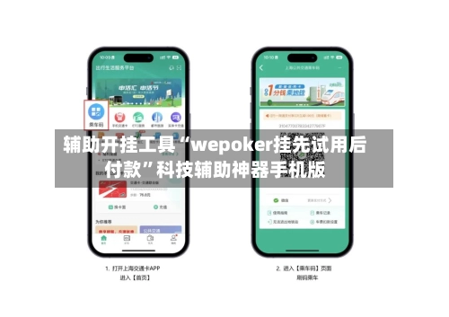 辅助开挂工具“wepoker挂先试用后付款”科技辅助神器手机版-第2张图片