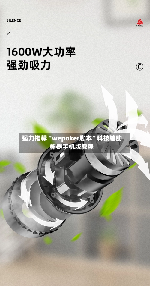 强力推荐“wepoker脚本”科技辅助神器手机版教程