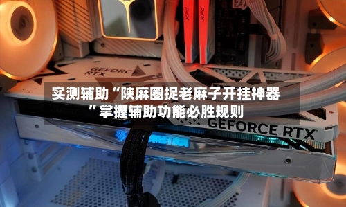 实测辅助“陕麻圈捉老麻子开挂神器	”掌握辅助功能必胜规则-第2张图片
