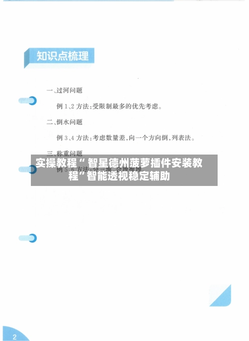 实操教程“ 智星德州菠萝插件安装教程”智能透视稳定辅助-第3张图片