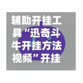 辅助开挂工具“迅奇斗牛开挂方法视频”开挂辅助脚本+详细开挂