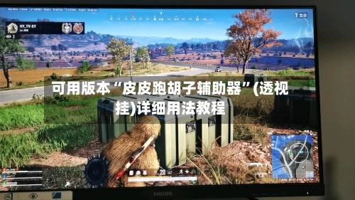 可用版本“皮皮跑胡子辅助器”(透视挂)详细用法教程-第2张图片