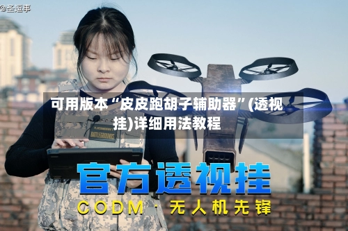 可用版本“皮皮跑胡子辅助器”(透视挂)详细用法教程-第3张图片