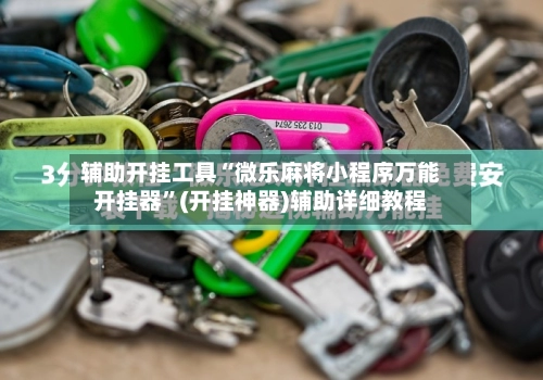 辅助开挂工具“微乐麻将小程序万能开挂器”(开挂神器)辅助详细教程-第3张图片