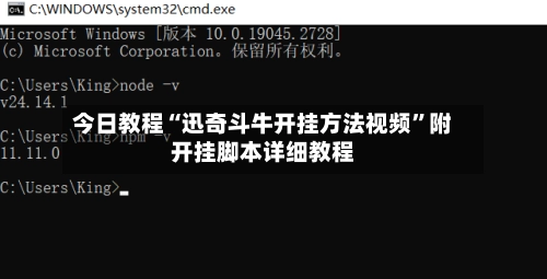 今日教程“迅奇斗牛开挂方法视频	”附开挂脚本详细教程-第2张图片