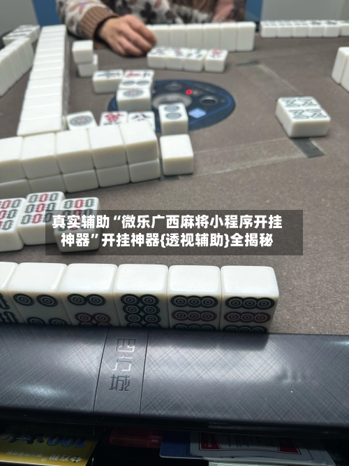 真实辅助“微乐广西麻将小程序开挂神器	”开挂神器{透视辅助}全揭秘-第3张图片