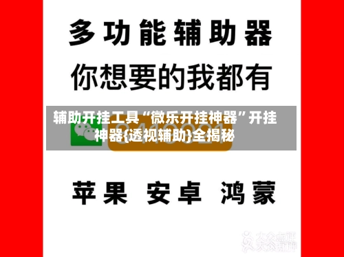 辅助开挂工具“微乐开挂神器”开挂神器{透视辅助}全揭秘