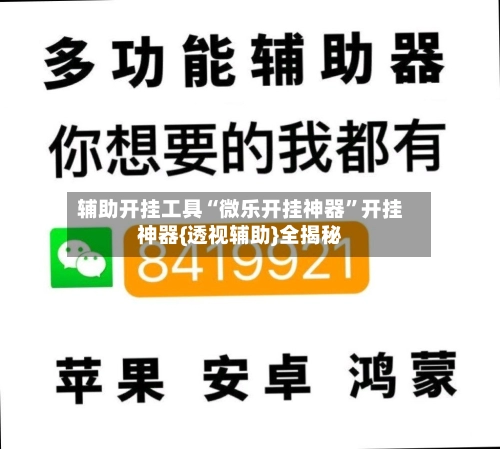 辅助开挂工具“微乐开挂神器	”开挂神器{透视辅助}全揭秘-第3张图片