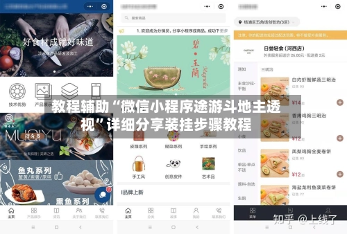 教程辅助“微信小程序途游斗地主透视”详细分享装挂步骤教程-第2张图片