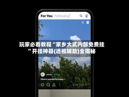 玩家必看教程“家乡大贰内部免费挂”开挂神器{透视辅助}全揭秘-第3张图片