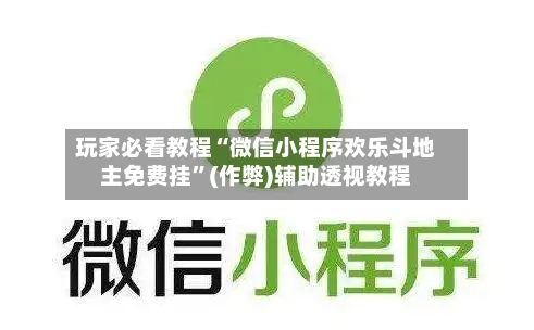 玩家必看教程“微信小程序欢乐斗地主免费挂”(作弊)辅助透视教程-第2张图片