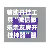 辅助开挂工具“微信微乐亲友房开挂神器”智能辅助工具使用教程-第2张图片