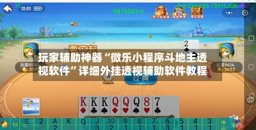 玩家辅助神器“微乐小程序斗地主透视软件”详细外挂透视辅助软件教程-第3张图片