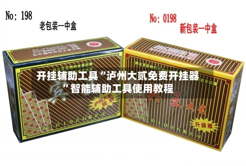 开挂辅助工具“泸州大贰免费开挂器”智能辅助工具使用教程-第2张图片