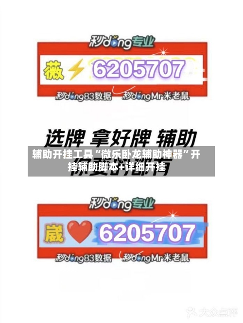 辅助开挂工具“微乐卧龙辅助神器”开挂辅助脚本+详细开挂-第2张图片