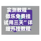 实测教程“微乐免费挂试用三天”详细开挂教程官方正版下载-第3张图片
