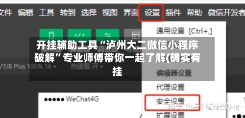 开挂辅助工具“泸州大二微信小程序破解”专业师傅带你一起了解(确实有挂-第2张图片