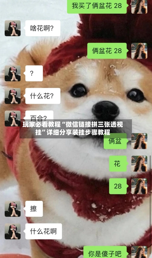 玩家必看教程“微信链接拼三张透视挂”详细分享装挂步骤教程
