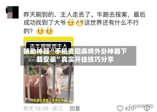 辅助神器“手机贵阳麻将外卦神器下载安装”真实开挂技巧分享-第3张图片