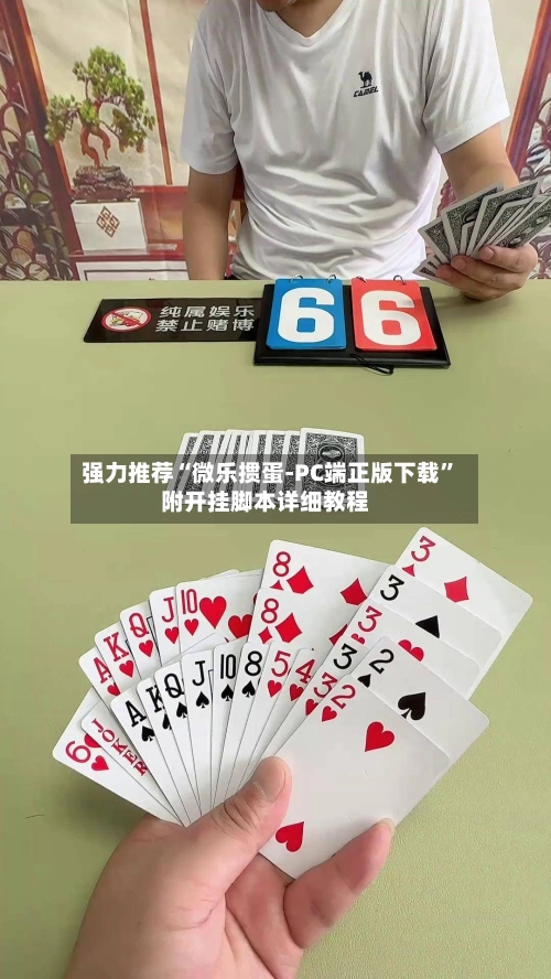 强力推荐“微乐掼蛋-PC端正版下载”附开挂脚本详细教程-第3张图片