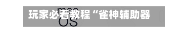 玩家必看教程“雀神辅助器(免费)”(必备工具)辅助教学