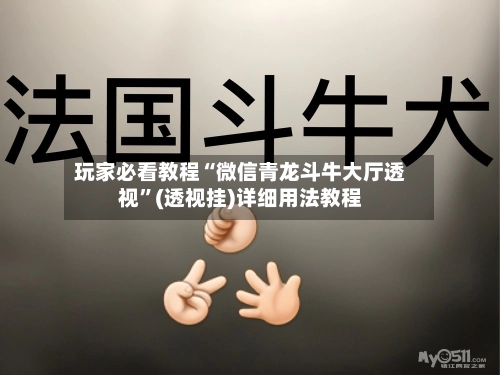 玩家必看教程“微信青龙斗牛大厅透视”(透视挂)详细用法教程-第2张图片