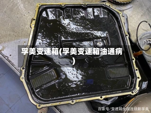 孚美变速箱(孚美变速箱油通病)