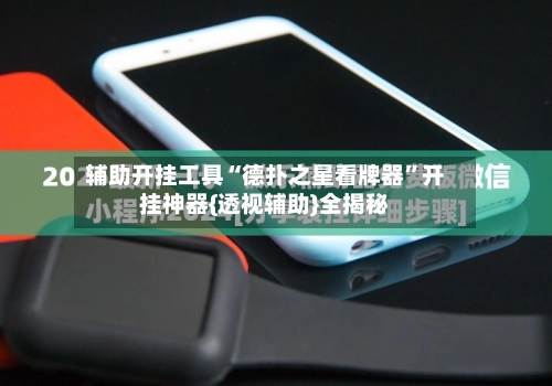 辅助开挂工具“德扑之星看牌器”开挂神器{透视辅助}全揭秘-第2张图片
