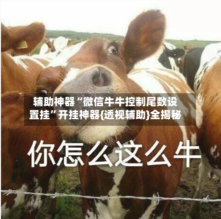 辅助神器“微信牛牛控制尾数设置挂	”开挂神器{透视辅助}全揭秘-第2张图片