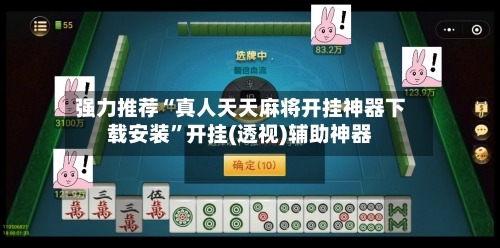 强力推荐“真人天天麻将开挂神器下载安装	”开挂(透视)辅助神器-第2张图片