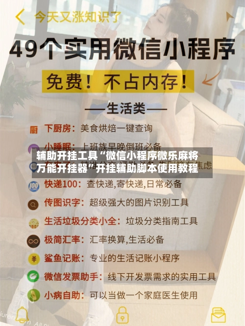 辅助开挂工具“微信小程序微乐麻将万能开挂器”开挂辅助脚本使用教程-第2张图片
