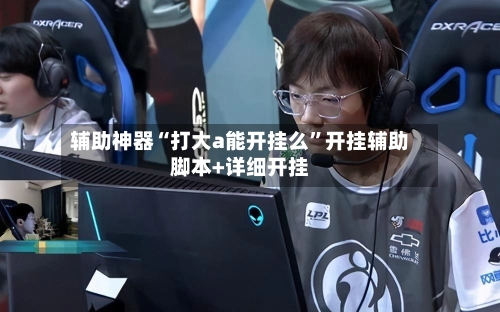 辅助神器“打大a能开挂么”开挂辅助脚本+详细开挂-第3张图片