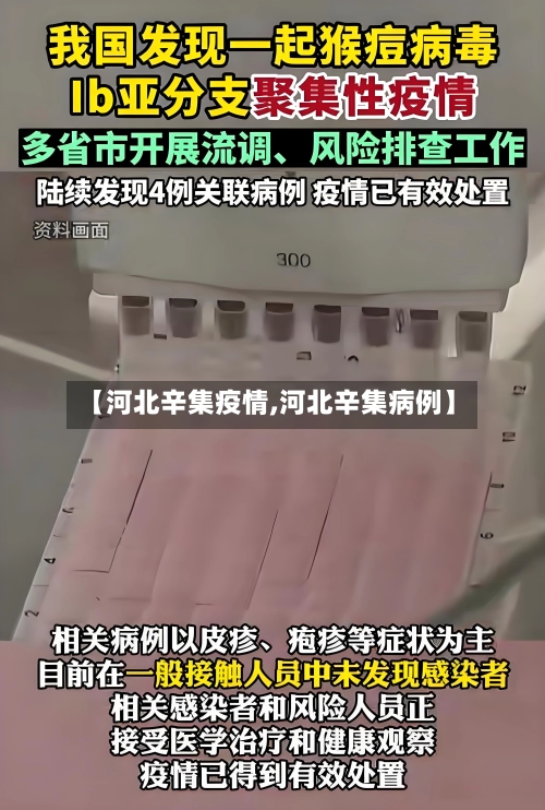 【河北辛集疫情,河北辛集病例】