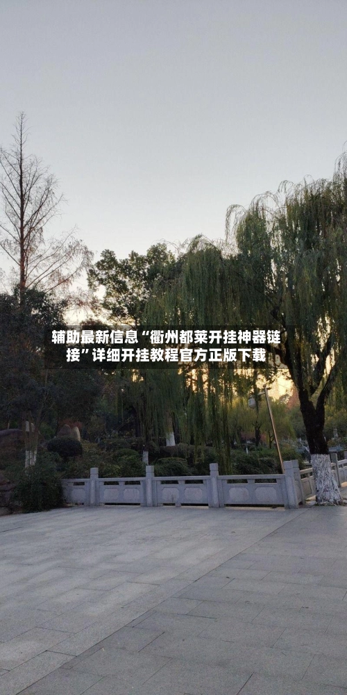 辅助最新信息“衢州都莱开挂神器链接”详细开挂教程官方正版下载-第3张图片