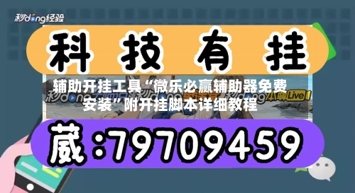 辅助开挂工具“微乐必赢辅助器免费安装”附开挂脚本详细教程