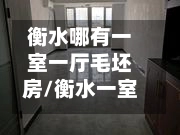 衡水哪有一室一厅毛坯房/衡水一室一厅的在售楼盘-第3张图片