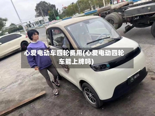 心爱电动车四轮费用(心爱电动四轮车能上牌吗)-第2张图片