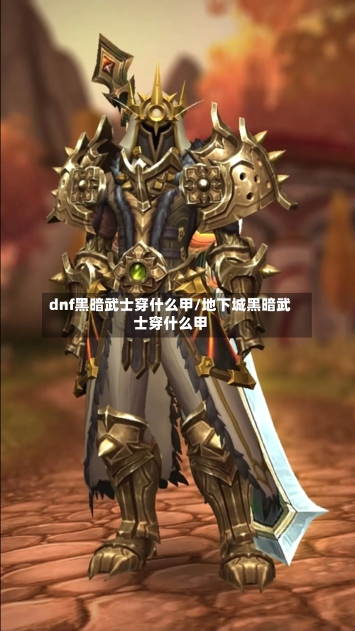 dnf黑暗武士穿什么甲/地下城黑暗武士穿什么甲
