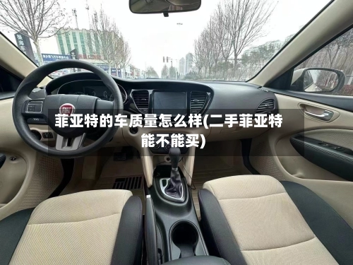 菲亚特的车质量怎么样(二手菲亚特能不能买)